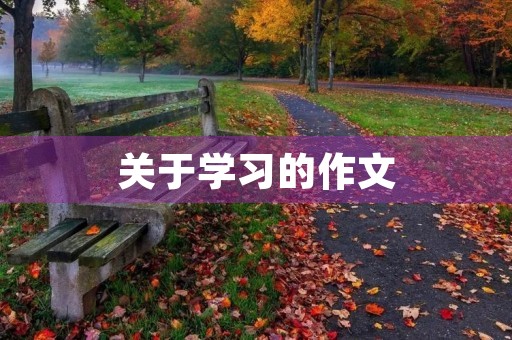 关于学习的作文 关于学习的作文