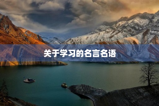 关于学习的名言名语，关于读书的名言名句短