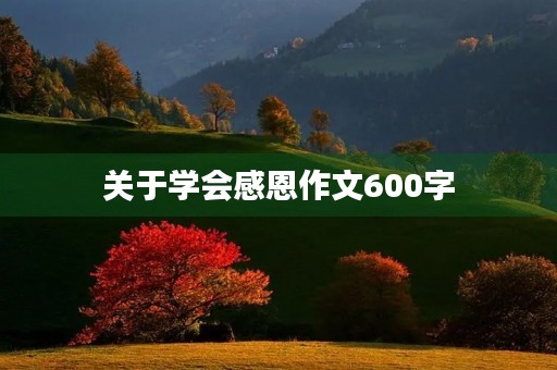 关于学会感恩作文600字 关于学会感恩作文600字