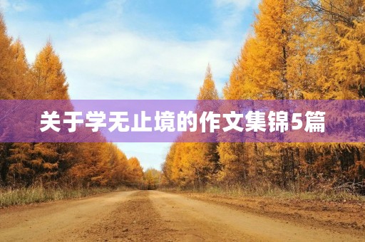 关于学无止境的作文集锦5篇 关于学无止境的作文集锦5篇