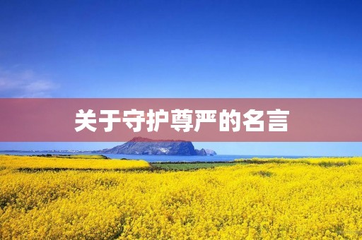 关于守护尊严的名言，关于守护尊严的名言名句