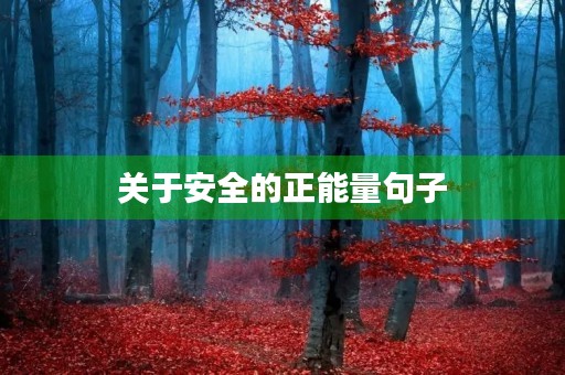 关于安全的正能量句子(关于安全的正能量句子短句)