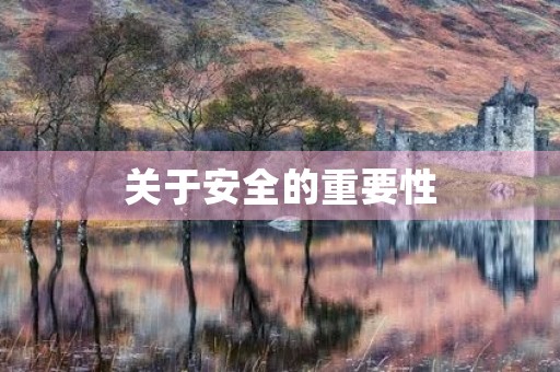 关于安全的重要性
