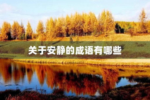 关于安静的成语有哪些