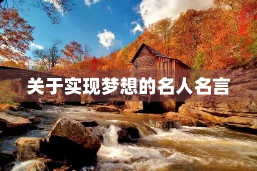 关于实现梦想的名人名言，关于实现梦想的名人名言100