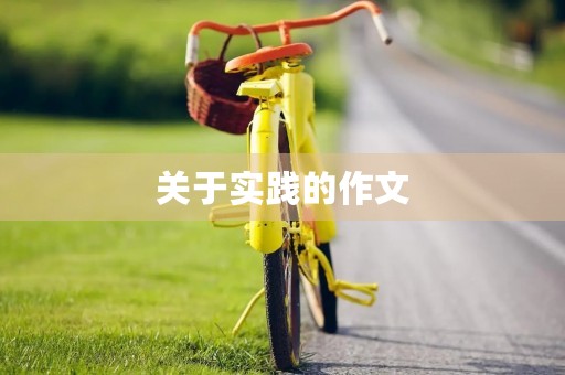 关于实践的作文 关于实践的作文