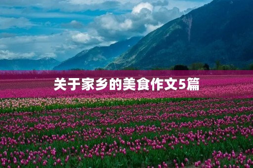 关于家乡的美食作文5篇