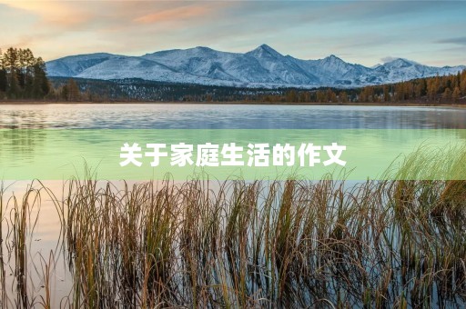 关于家庭生活的作文 关于家庭生活的作文