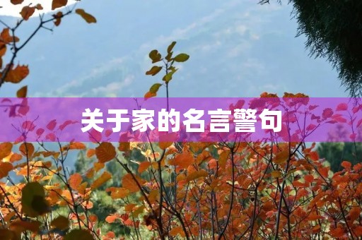 关于家的名言警句,关于家乡新貌的名言警句 关于家的名言警句,关于家乡新貌的名言警句