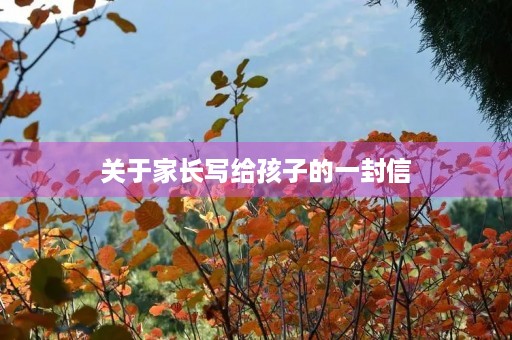 关于家长写给孩子的一封信