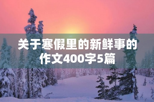 关于寒假里的新鲜事的作文400字5篇 关于寒假里的新鲜事的作文400字5篇
