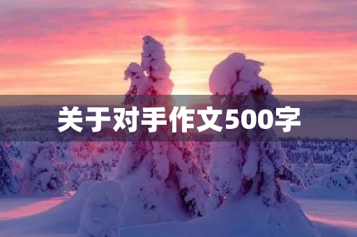关于对手作文500字 关于对手作文500字