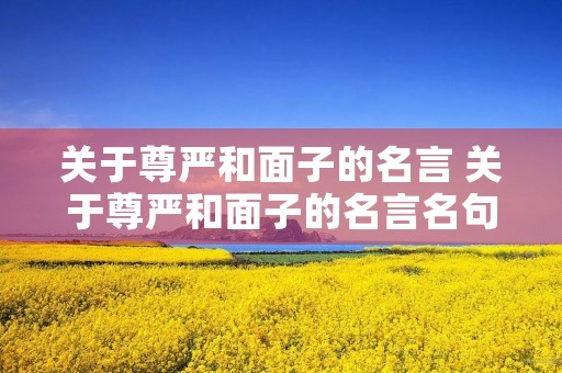 关于尊严和面子的名言 关于尊严和面子的名言名句 关于尊严和面子的名言 关于尊严和面子的名言名句