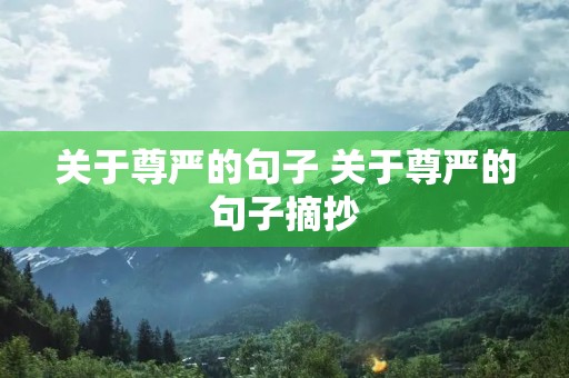 关于尊严的句子 关于尊严的句子摘抄 关于尊严的句子 关于尊严的句子摘抄