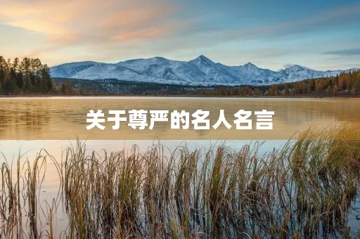 关于尊严的名人名言(关于尊严的名人名言有哪些)
