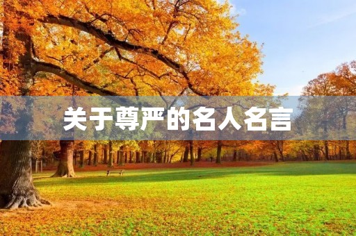 关于尊严的名人名言(关于尊严的名言简短)