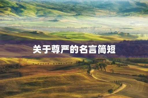关于尊严的名言简短(关于尊严的名言简短一句话) 关于尊严的名言简短(关于尊严的名言简短一句话)