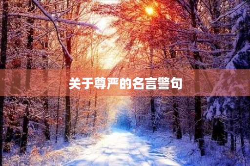 关于尊严的名言警句(关于尊严的名言警句简短一句)