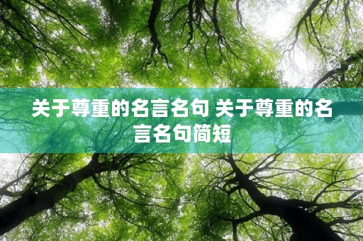 关于尊重的名言名句 关于尊重的名言名句简短
