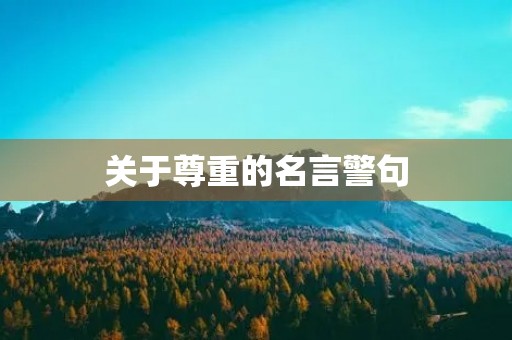关于尊重的名言警句(古代关于尊重的名言警句)