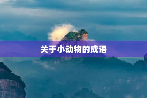 关于小动物的成语 关于小动物的成语