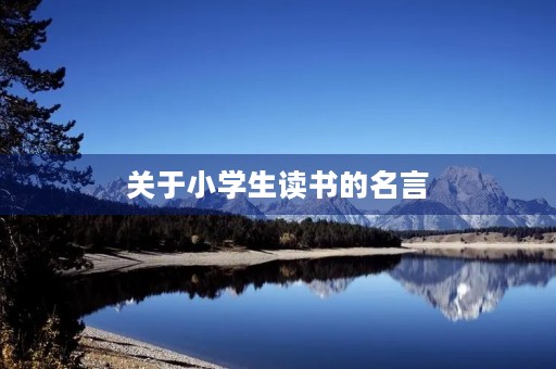 关于小学生读书的名言(关于小学生读书的名言名句有哪些) 关于小学生读书的名言(关于小学生读书的名言名句有哪些)