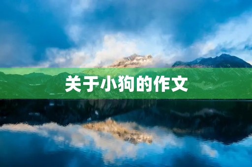 关于小狗的作文