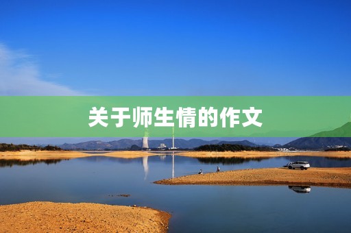 关于师生情的作文