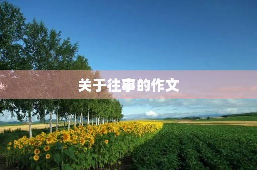 关于往事的作文
