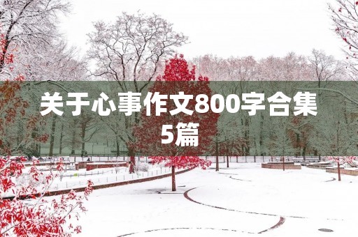 关于心事作文800字合集5篇