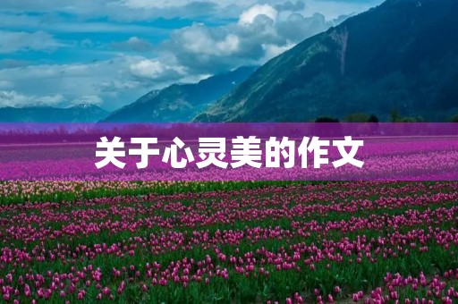 关于心灵美的作文
