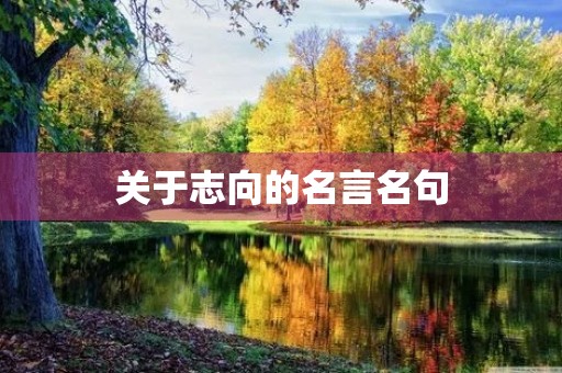 关于志向的名言名句(关于志向的名言名句二年级) 关于志向的名言名句(关于志向的名言名句二年级)