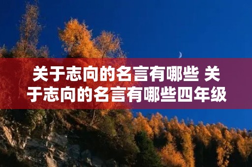 关于志向的名言有哪些 关于志向的名言有哪些四年级 关于志向的名言有哪些 关于志向的名言有哪些四年级