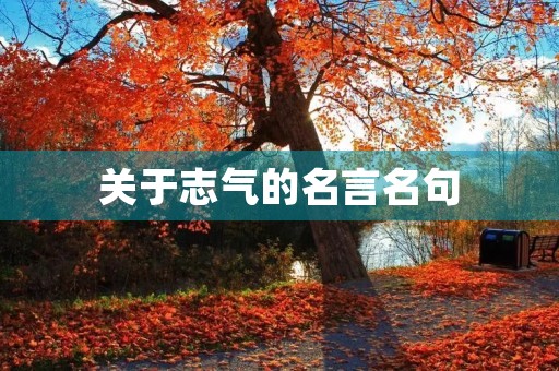 关于志气的名言名句,关于志气的名言名句有哪些 关于志气的名言名句,关于志气的名言名句有哪些