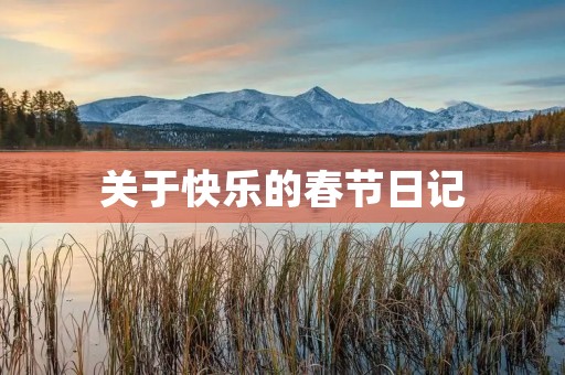 关于快乐的春节日记