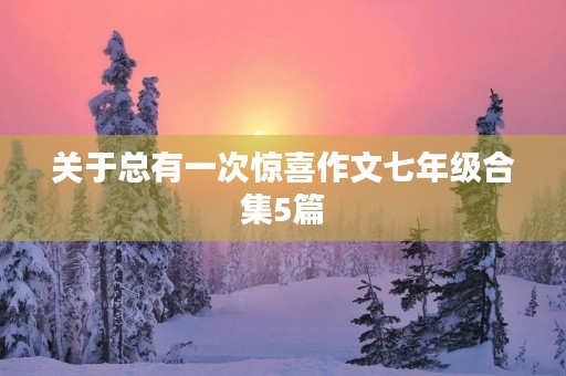 关于总有一次惊喜作文七年级合集5篇 关于总有一次惊喜作文七年级合集5篇