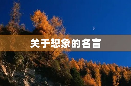 关于想象的名言,关于想象的名言有哪些 关于想象的名言,关于想象的名言有哪些