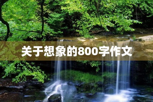 关于想象的800字作文 关于想象的800字作文