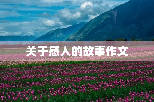 关于感人的故事作文