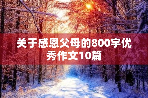 关于感恩父母的800字优秀作文10篇 关于感恩父母的800字优秀作文10篇