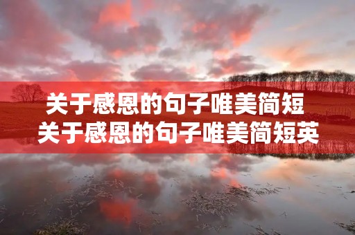 关于感恩的句子唯美简短 关于感恩的句子唯美简短英文 关于感恩的句子唯美简短 关于感恩的句子唯美简短英文