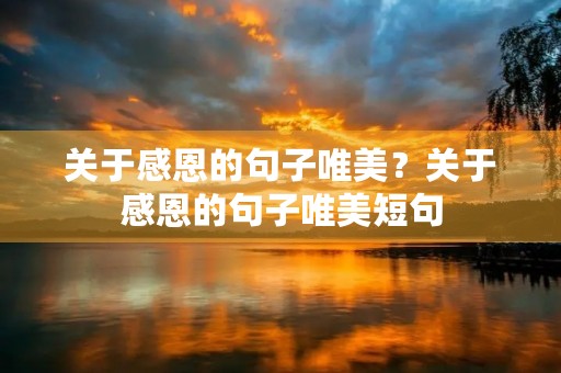 关于感恩的句子唯美？关于感恩的句子唯美短句