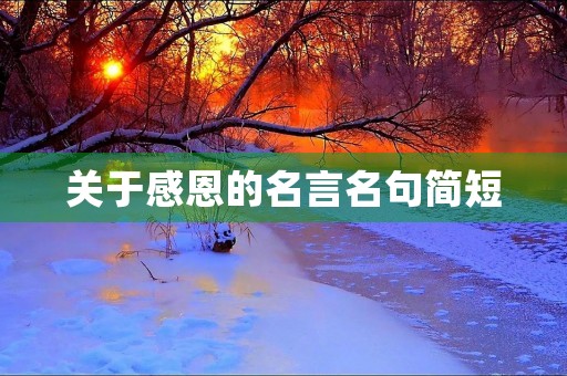关于感恩的名言名句简短，关于感恩的名言名句简短有作者