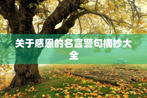 关于感恩的名言警句摘抄大全,关于感恩的名言警句摘抄大全短句 关于感恩的名言警句摘抄大全,关于感恩的名言警句摘抄大全短句
