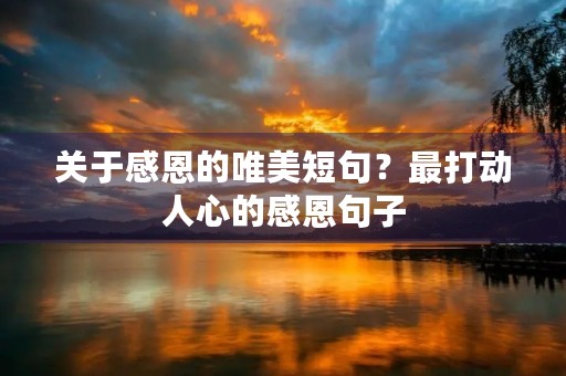 关于感恩的唯美短句?最打动人心的感恩句子 关于感恩的唯美短句?最打动人心的感恩句子