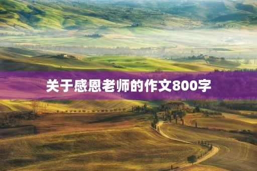 关于感恩老师的作文800字 关于感恩老师的作文800字