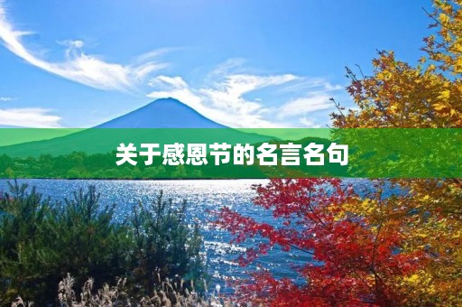 关于感恩节的名言名句，关于感恩节的名言名句,英文版