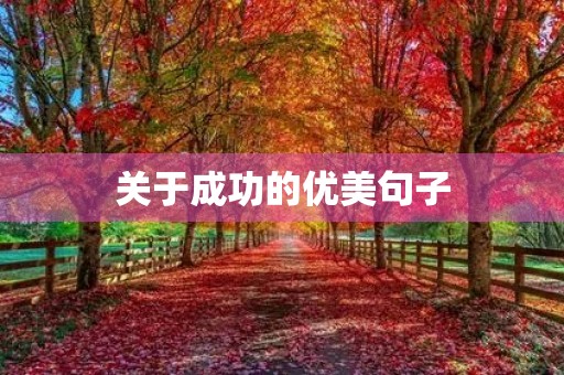 关于成功的优美句子(关于成功的优美句子摘抄)