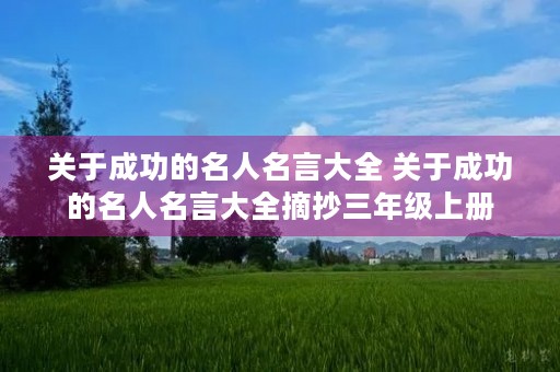 关于成功的名人名言大全 关于成功的名人名言大全摘抄三年级上册 关于成功的名人名言大全 关于成功的名人名言大全摘抄三年级上册