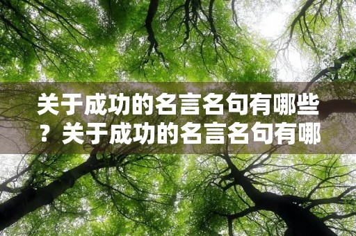 关于成功的名言名句有哪些？关于成功的名言名句有哪些英语